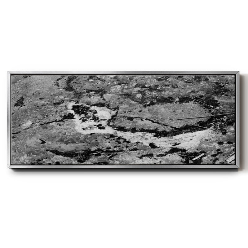 Found Textures XIV- Framed Canvas, 20" H x 50" W