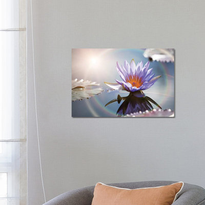 Lotus Flower With Sun Flare by Susan Schmitz - Wrapped Canvas Gallery-Wrapped Canvas Giclée