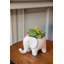 Ensemble de 3 plantes grasses artificielles dans un vase