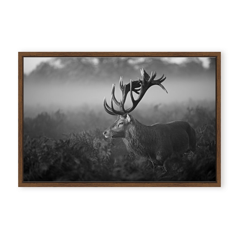 Nature Inspired Sunny Morning by  - Picture Frame Photograph on Paper, 32" H x 48" W x 1.125" D, Framed Matted Print, White