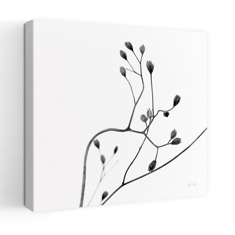Bourgeons II, art floral abstrait contemporain, H 48 po x l 48 po
