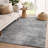 Premium Machine Washable Dream Shag ADS542 Fan-Like Rug-986554196-986554206