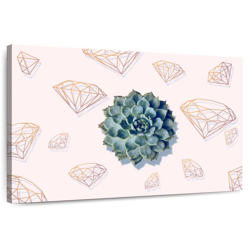 Harnek Cool Succulent Plant