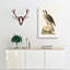 Goshawk by Von Wright - Wrapped Canvas-55312203