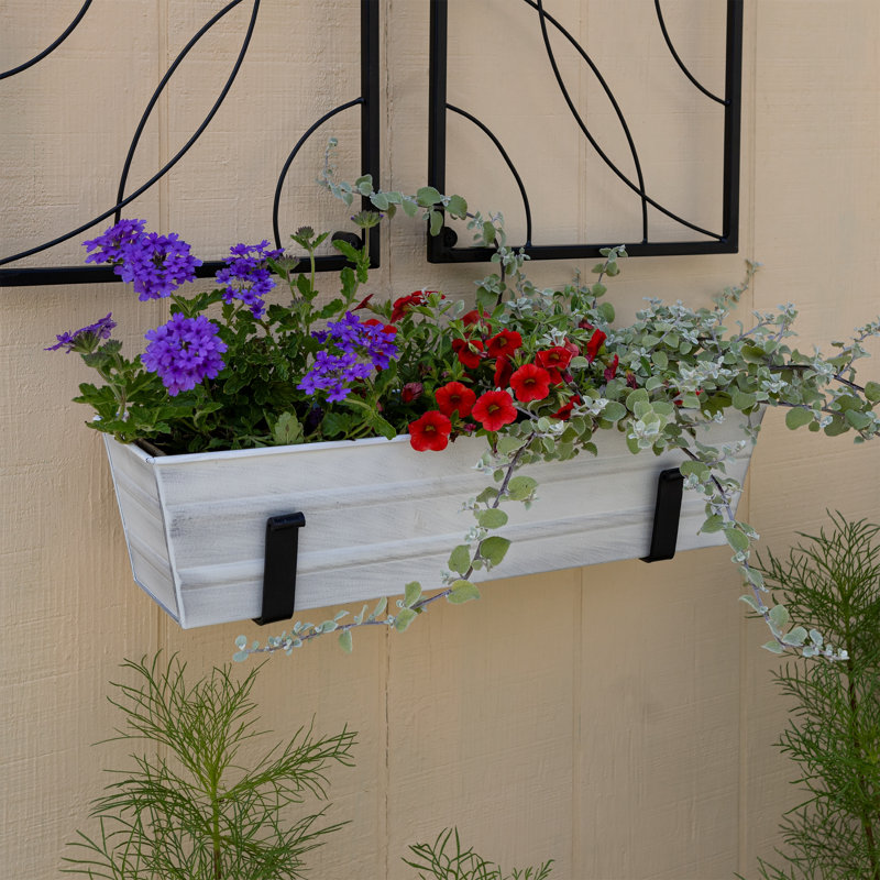 Small White Galvanized Flower Box with Black Brackets