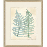Spring Ferns 2 Painting