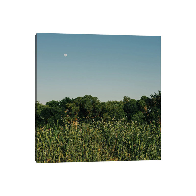 Summer Moon III 1 Piece Wall Art on Canvas, 93.98cm H x 93.98cm W x 3.81cm D, Wrapped Canvas