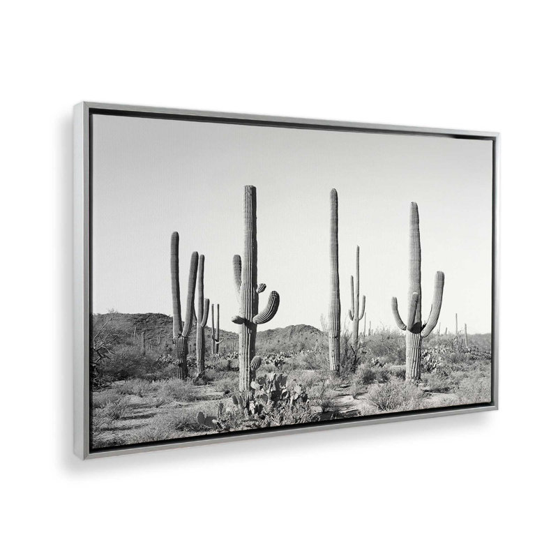 «Gray Cactus Land» par Garima Dhawan, reproduction d'art sur toile, H 36 po x l 48 po, Cadre flottant, Argent argent