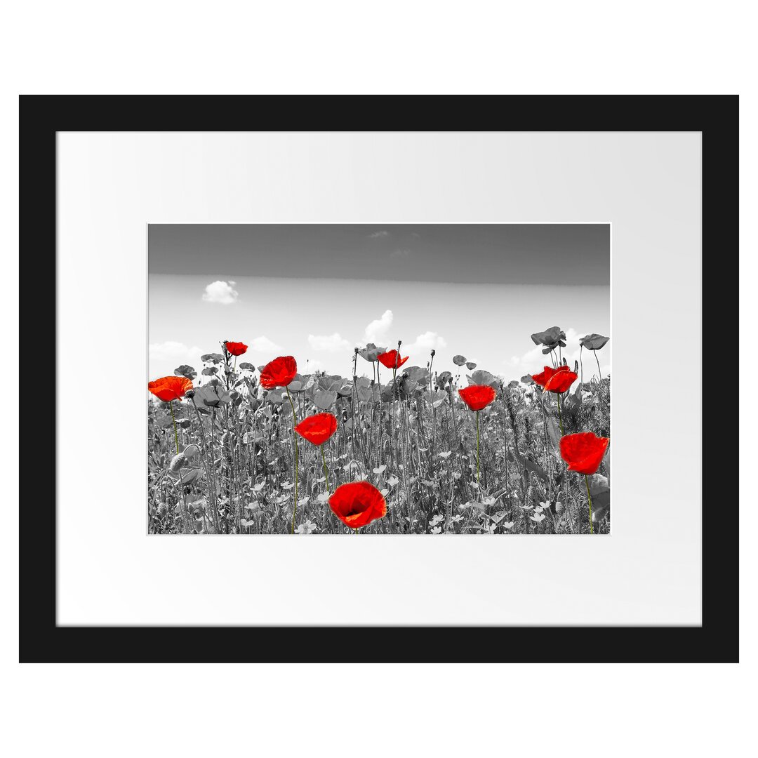 Gerahmtes Poster Schöner Rot Leuchtender Mohn