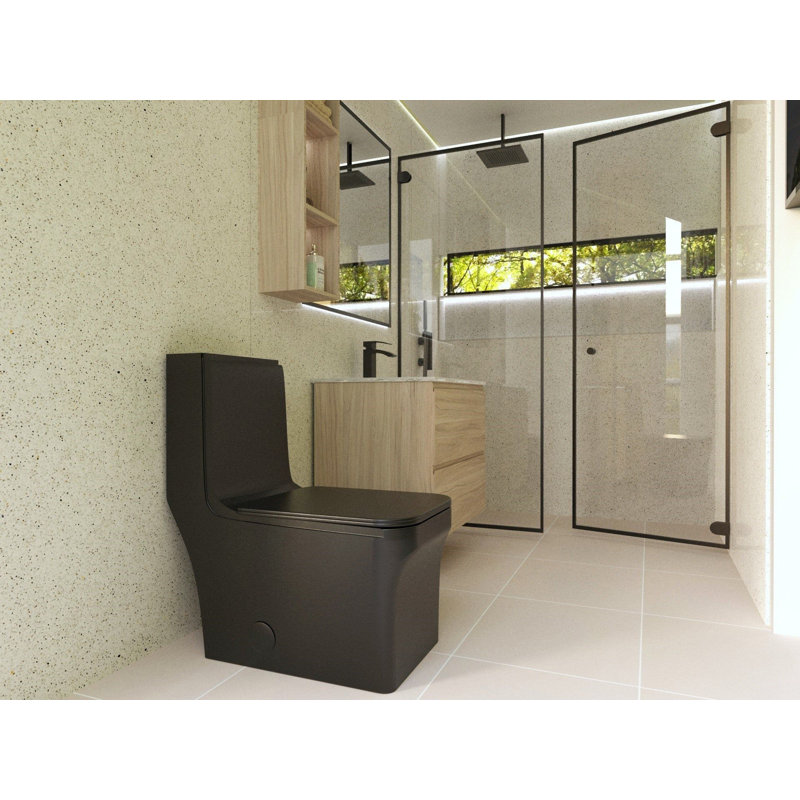 Toilette DAX avec siège à fermeture douce et double chasse haute efficacité, noir mat