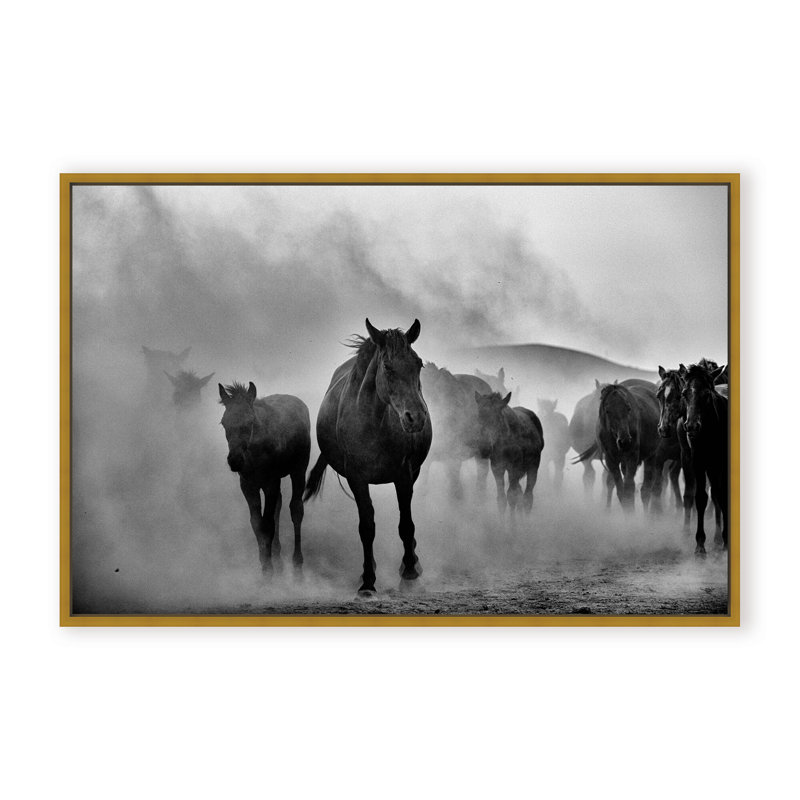 Nature Inspired Untitled by  - Picture Frame Photograph on Paper, Framed Canvas, 16" H x 24" W x 2.375" D, White