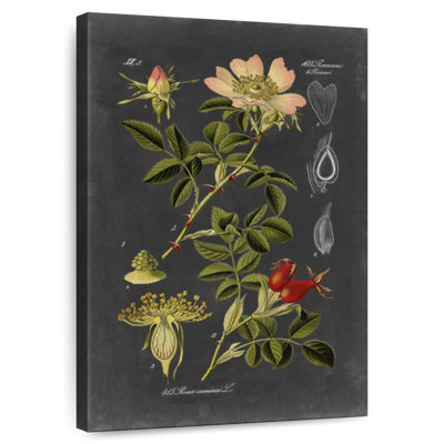 Keiri Midnight Botanical I