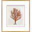 Coral In Red 4 Giclee Print by Dana Gibson