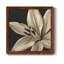 Classical Blooms III - Art mural encadré sur toile-62718613-62718614