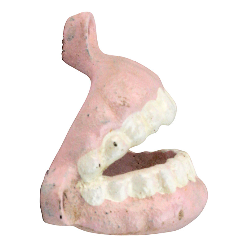 False Teeth Bottle Opener Bottle Opener