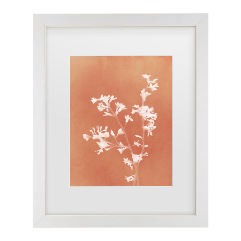 «Amini54», monographie de fleurs orange emmêlées, H 13 po x l 16 po, Cadre blanc