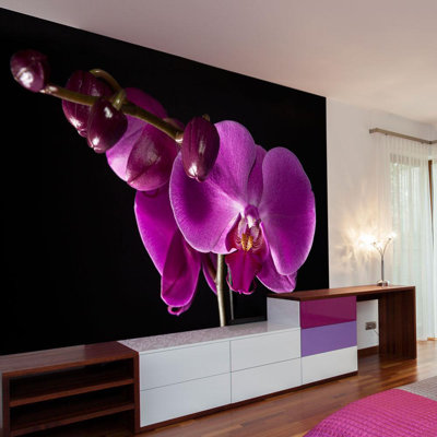 Wall Mural