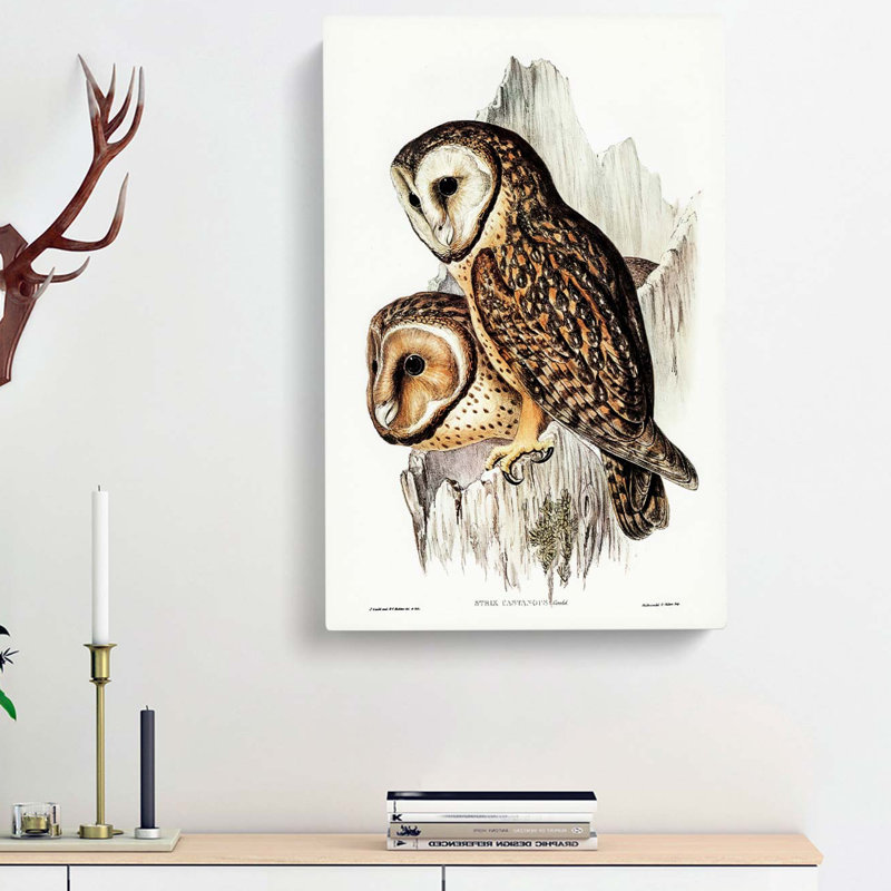 Chestnut-faced Owls by Elizabeth Gould - Wrapped Canvas Painting, 76cm H x 50cm W x 3cm D