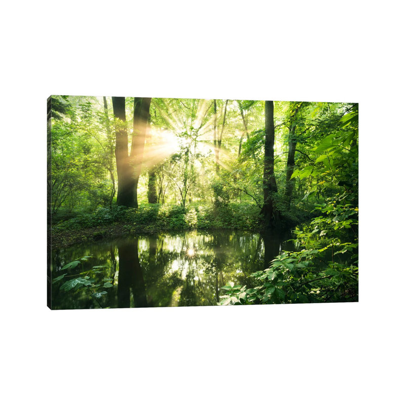 Eden Woods by Stefan Hefele - Wrapped Canvas Gallery-Wrapped Canvas Giclée, 45.72cm H x 66.04cm W