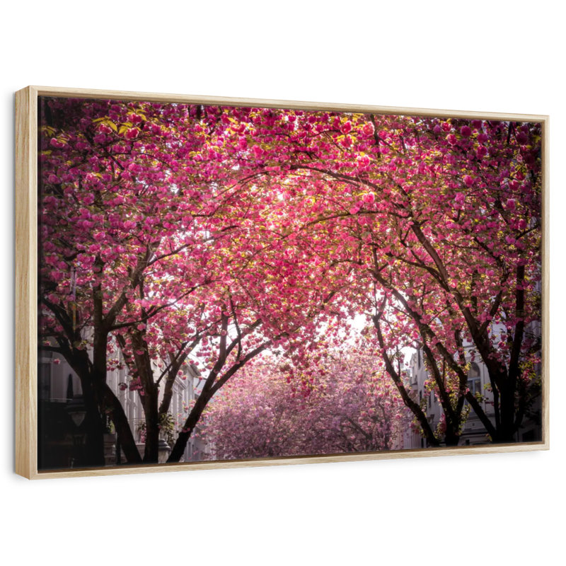 Fleurs de cerisier en fleurs, Cadre flottant en bois naturel, 19 po x 13 po