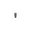 Cabinet Acorn Tip-14482434