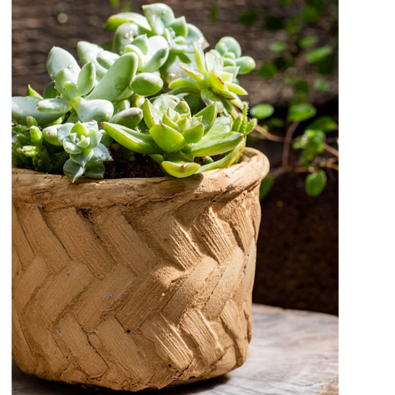 Pot Planter, 3.3" H x 4.1" W x 5.3" D