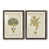 Papier, cadre noyer