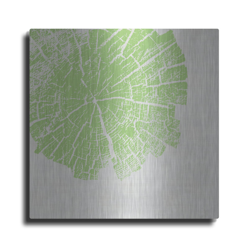 " Lime Slice " by Linda Woods