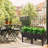 Benda Raised Garden Bed-1707603904
