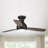 Aukje 48" Low Profile Ceiling Fan with 3CCT LED lights and Remote Control