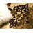 Eelijah Abstract Red/Cream Area Rug-73867179