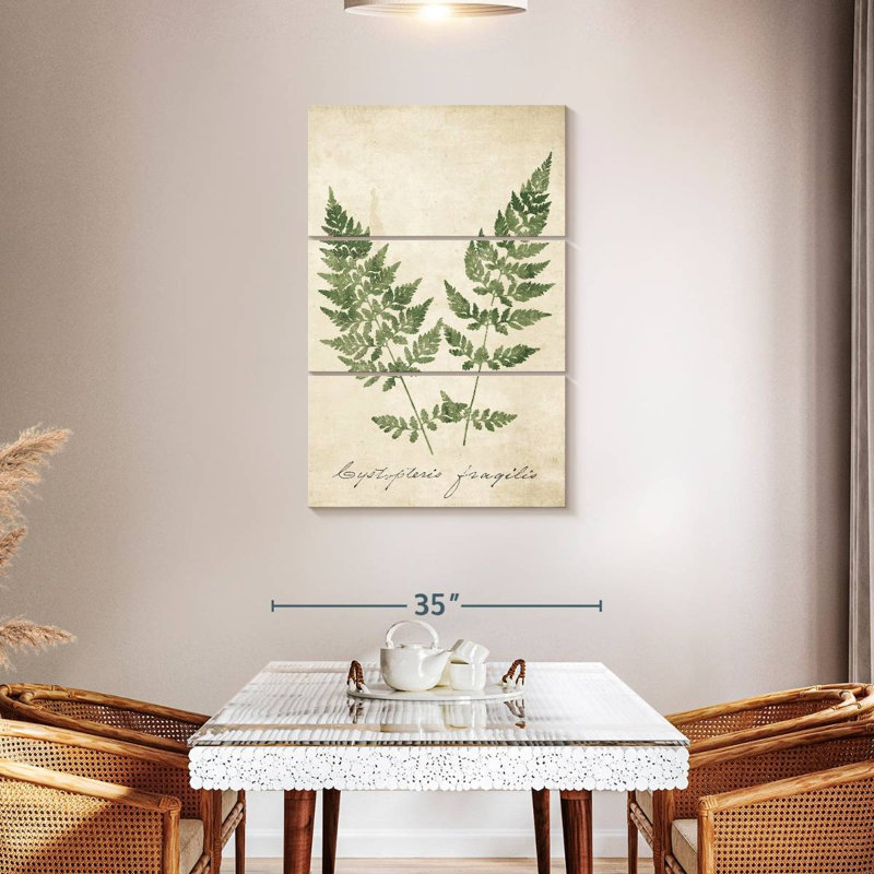 Harnek Vintage Ferns No Border, H 45 po x l 28 po