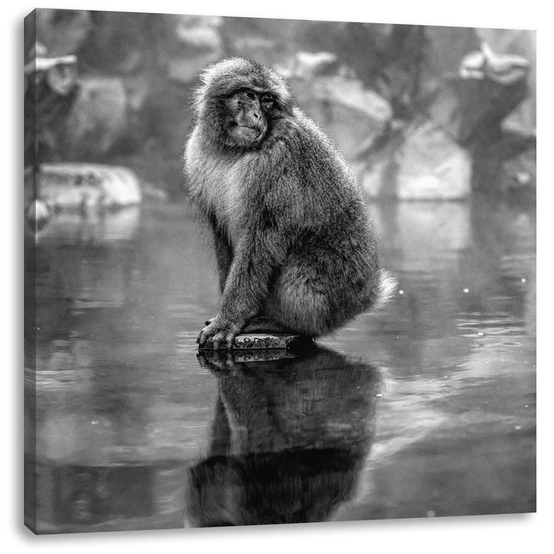 Leinwandbild Snow Monkey on Flounder in Hot Spring