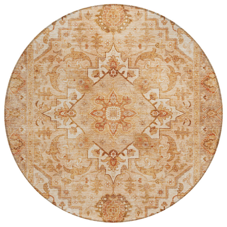 Machine Washable Indoor/Outdoor Oden ACN2164 Global Rug