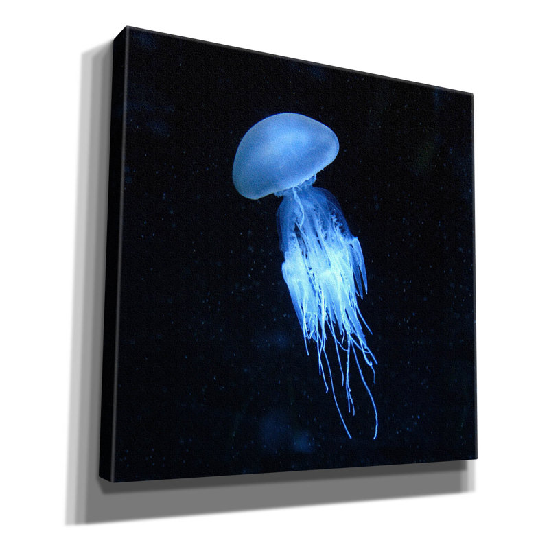 «Luminescent Jellyfish» par PhotoINC Studio, H 12 po x l 12 po
