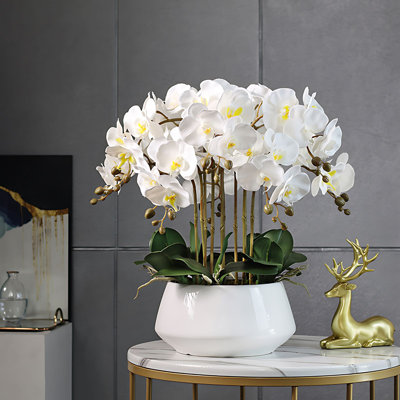 Orchids Arrangement in Pot