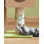 Arbre à chat 43 "Timms