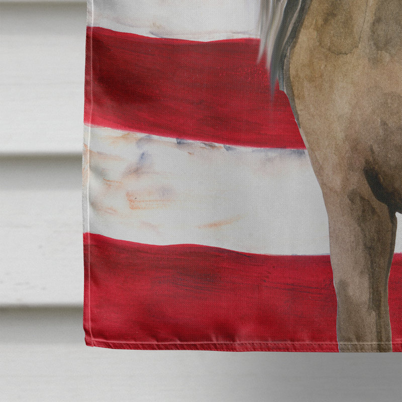Drapeau de maison en polyester à 2 côtés Shahnur, Chien chinois à crête gris