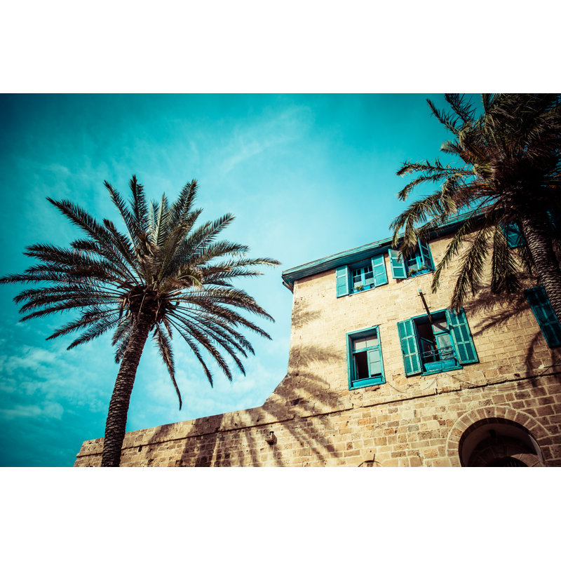 Palms In Jaffa,Tel Aviv - Wrapped Canvas Print, 30cm H x 46cm W
