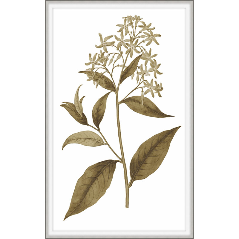 Sweet Preservation 3 Framed Print, 28" H x 19" W x 2" D