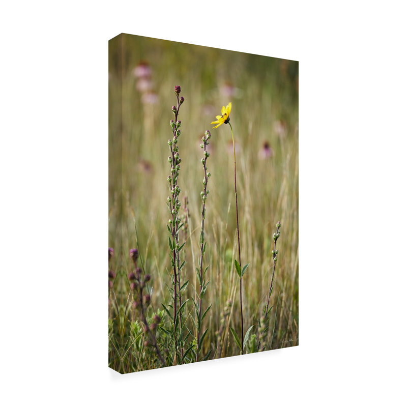 Art sur toile Kent Burkhardsmeier, H 32 po x l 22 po x P 2 po