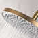 Full/Standard Adjustable Shower Head 1.8 GPM GPM with Self-Cleaning