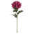 Fuchsia est en rupture de stock