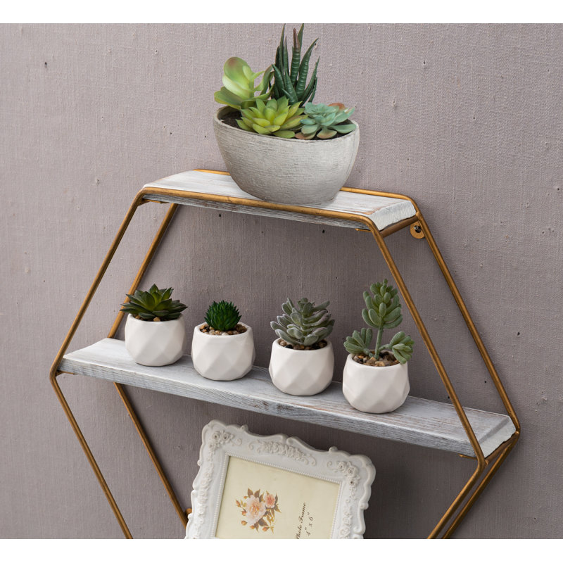 Faux Succulent Plant in Pot