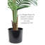 Palmier artificiel en pot-199376669-199376670