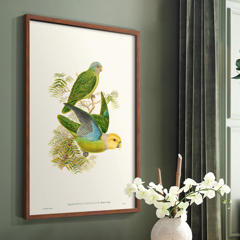 Lime & Cerulean Parrots I Framed Print - Solid Wood, Brown Single Picture Framed, 28" H x 22" W