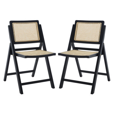 Ensemble de 2 chaises de patio pliables en rotin AllModern Dan
