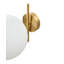 Iron Armed Sconce