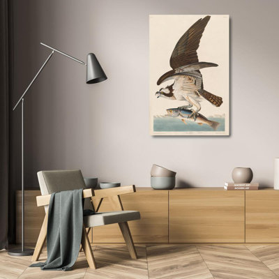 «Lark Manor» Audubon, John James Gallery, art sur toile tendue: Fish Hawk, ou Osprey