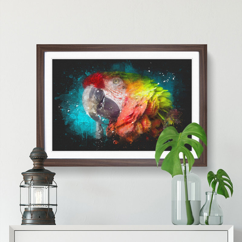 Rainbow Macaw Parrot - Picture Frame Graphic Art, Walnut Framed, 33cm H x 45cm W x 2cm D